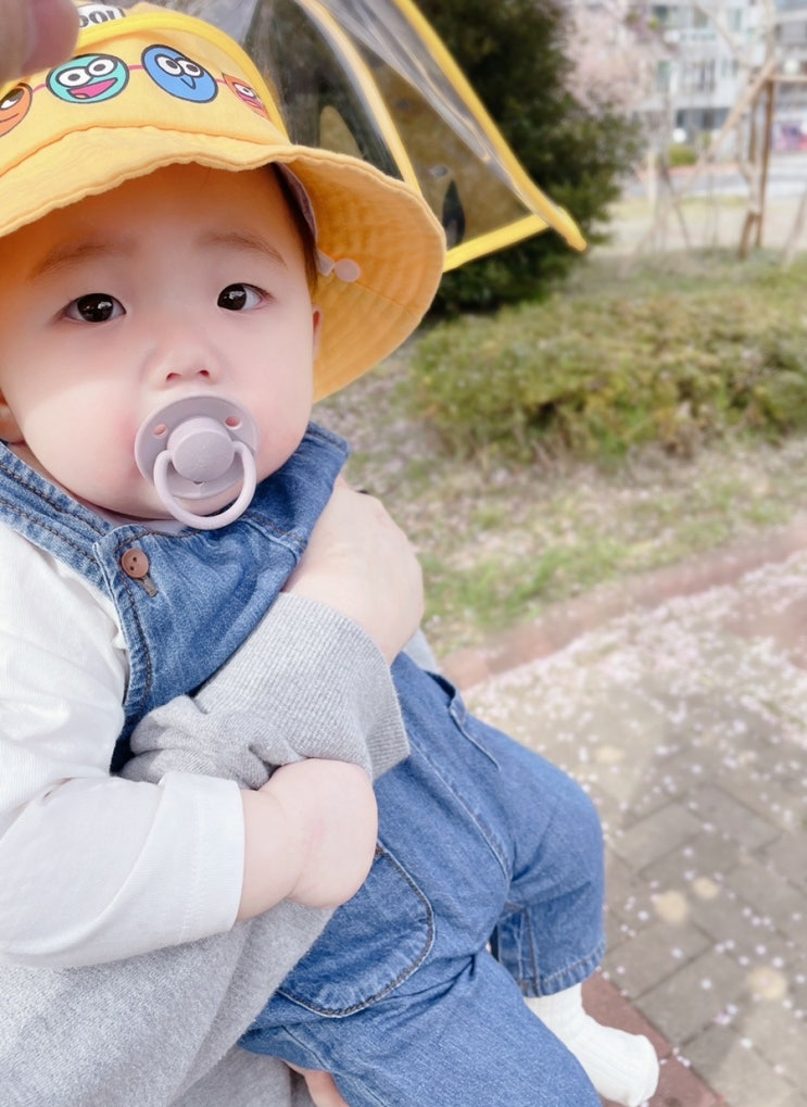 [ Day 254 - 256 ] 8개월 아기 일상/볼풀장/온도니 씰룩씰룩 뒤태/잡고서기 달인/성질머리/산책/육아일기