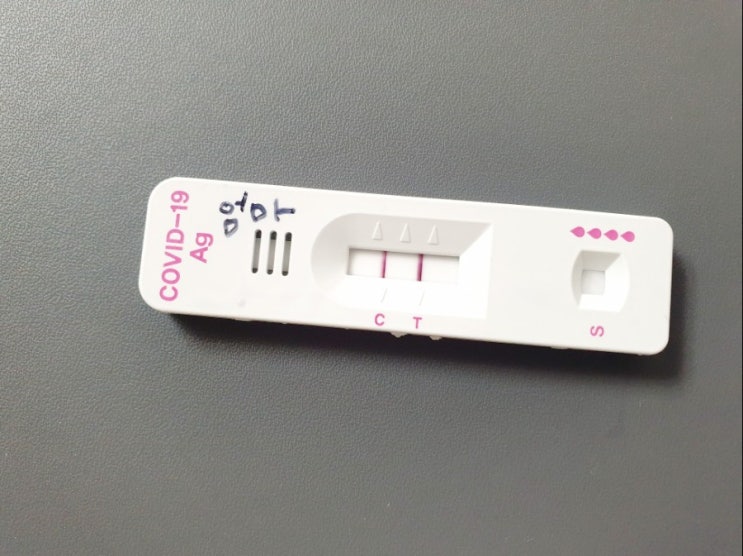  코로나 확진 후기 증상 목아픔 인후통 가래 기침 두통 미각