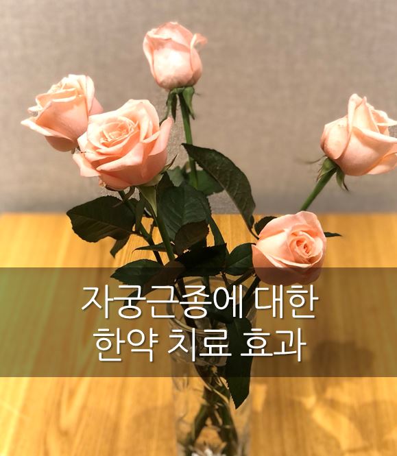  자궁근종에 대한 한약 치료 효과 - 안양 평촌 자윤한의원