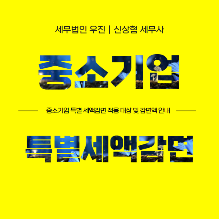 부산세무사, 중소기업 특별세액 감면 제도 안내