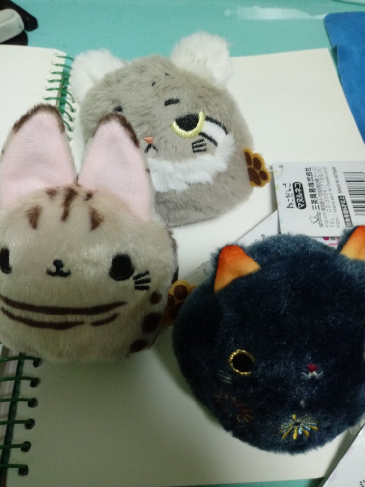 아마존 일본 조이포스트 인형 배송대행 후기