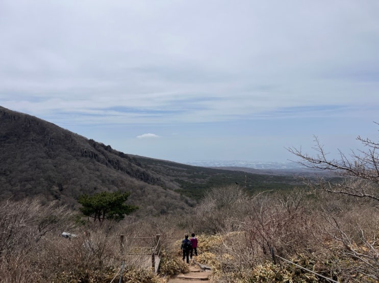  4월 한라산등반 영실입산 어리목하산 소요시간 복장 및 준비물