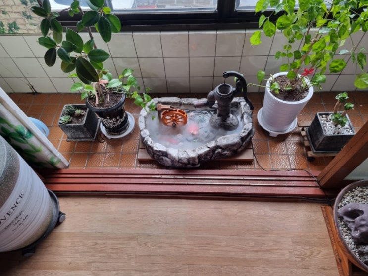  집 꾸미기