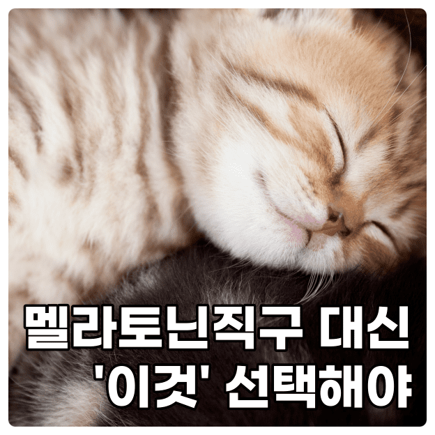  멜라토닌직구 대신 '이것'을 선택해야 하는 이유