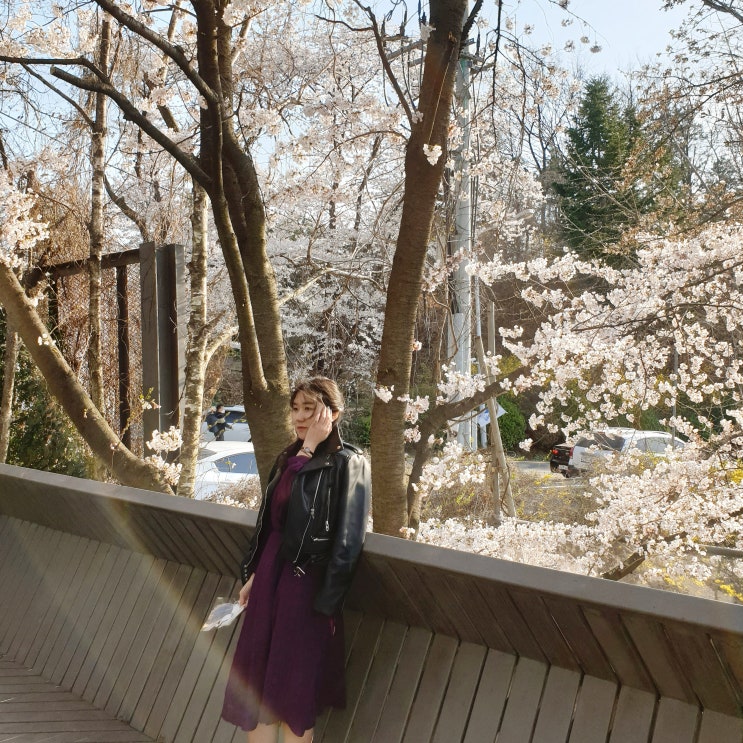 자라 봄세일 기간 언제? 가죽자켓 득템
