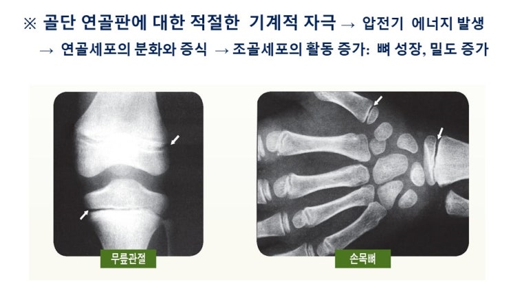  키크는 운동, 키성장원리, 성장호르몬과 성장판