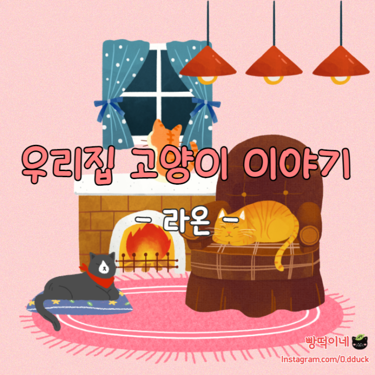  [우리집 고양이 이야기] 왕언니 라온이(´••`)