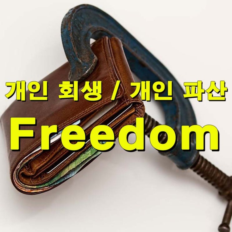 법률사무소 나온이 개인파산 /회생/ 채무탕감을 도와줍니다.