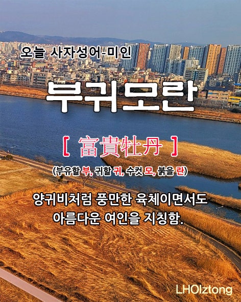 [834] 오늘 사자성어 부귀모란(富貴牡丹)의 뜻은?