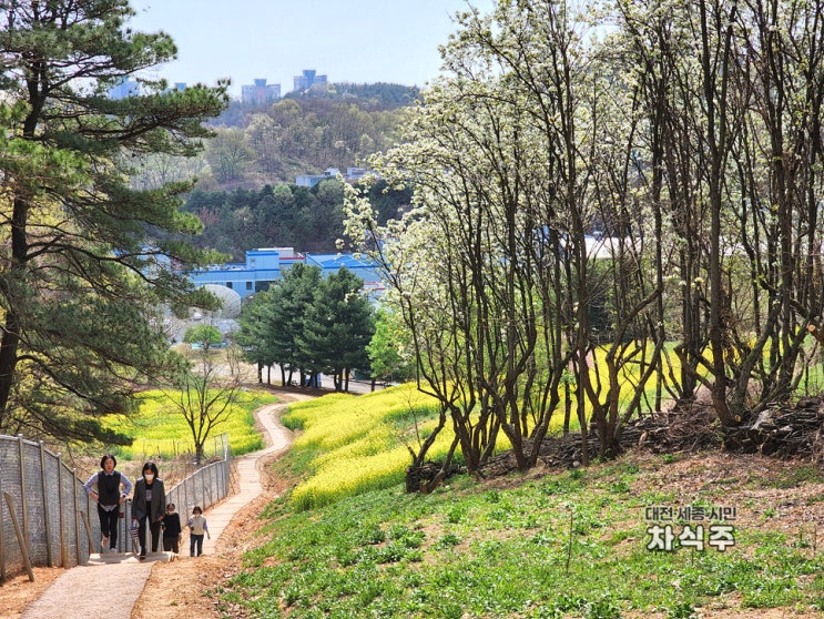  4월 화봉산 전민동 등산 산책