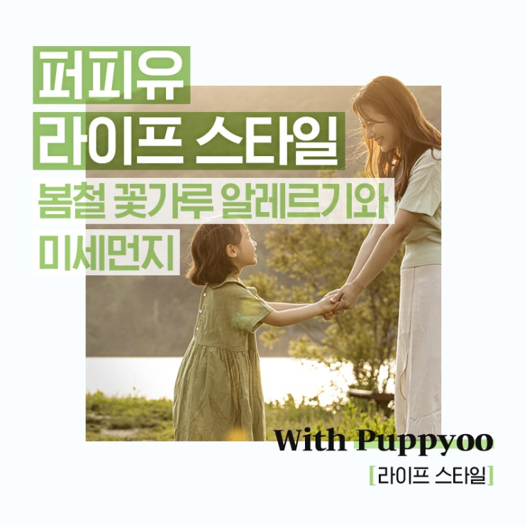  퍼피유 라이프스타일: 봄철 꽃가루 알레르기와 미세먼지