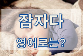  (영어 유의어) '잠을 자다' - 영어로 어떻게?