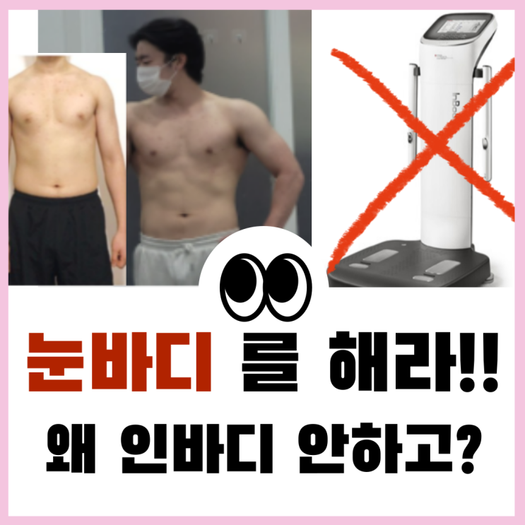  눈바디 인바디 따로 비교해야 하는 이유