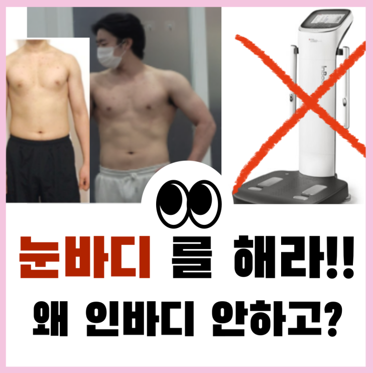 눈바디 인바디 따로 비교해야 하는 이유