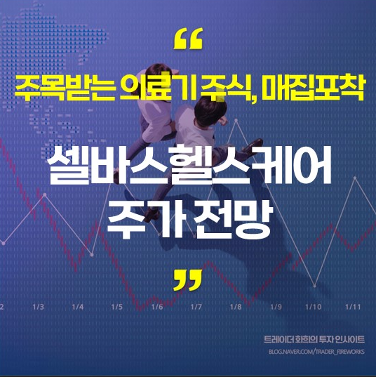  셀바스헬스케어 주가전망, 매집 포착