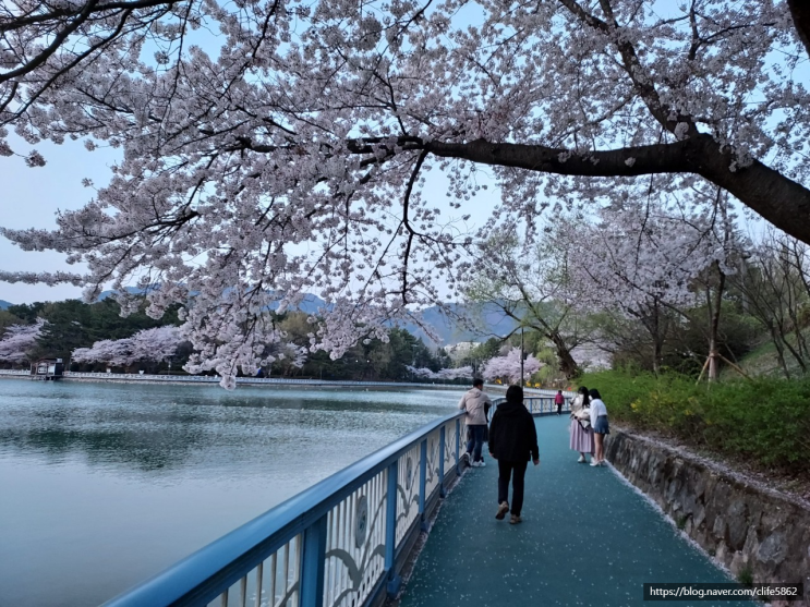  [차박 캠핑] 경남 봄나들이(7/11) : 창원 가볼만한곳(마산돝섬해상유원지, 마산어시장, 창원용지공원)