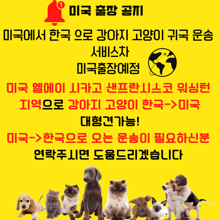  반려동물 개 고양이 애완동물 해외운송 국제출국 [출장공지]