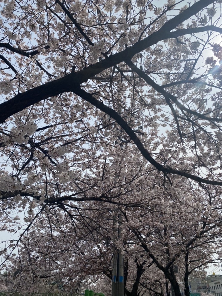  일상3