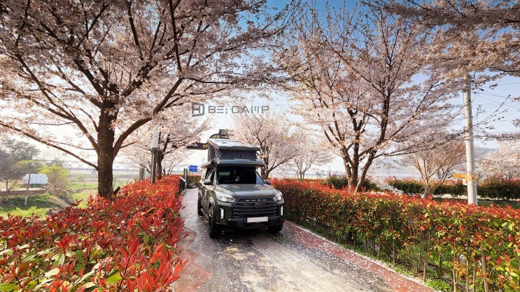 #렉스턴칸캠핑카 비캠프K3와 떠나는 #벚꽃비 여행