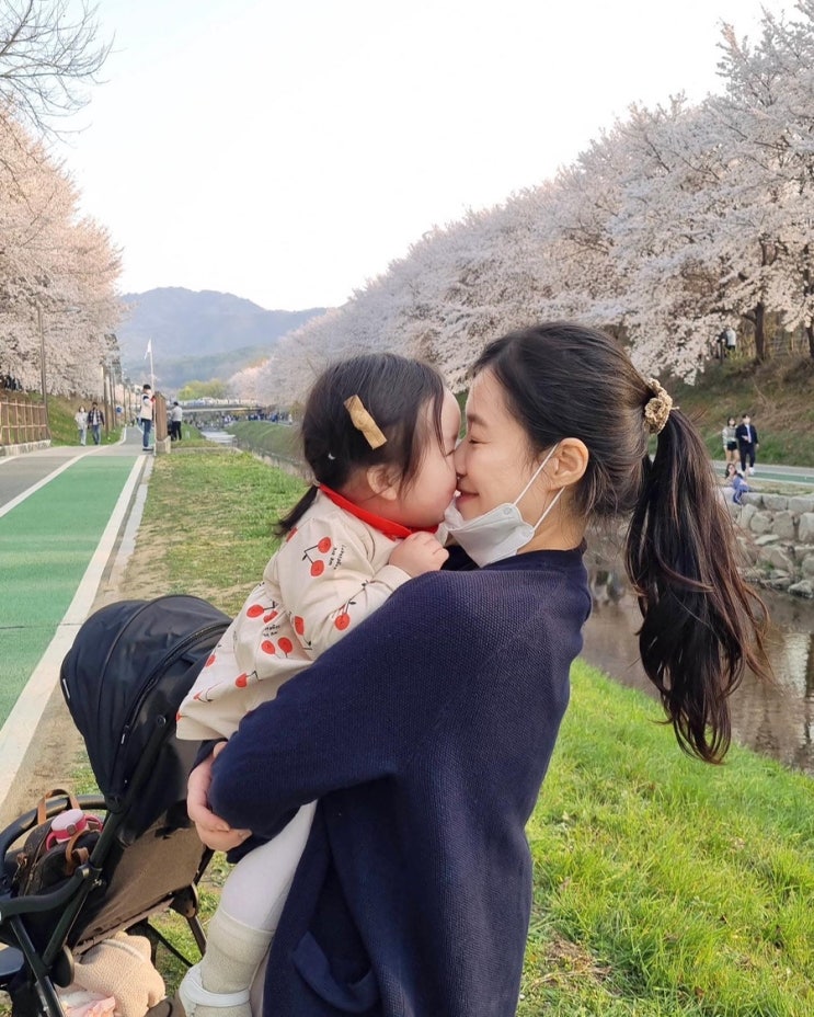  아기와 함께 양재천 따라 벚꽃 나들이 (양재시민의숲 주차정보)