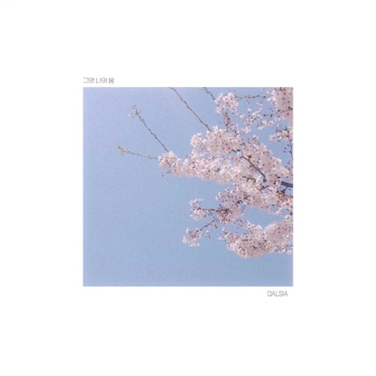 DALSIA(달시아) - 그댄 나의 봄 [노래가사, 듣기, Audio]