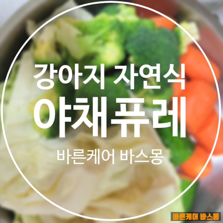 강아지 야채퓨레 만들기