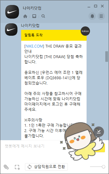  [정보] 나이키 THE DRAW 응모 및 리셀 방법