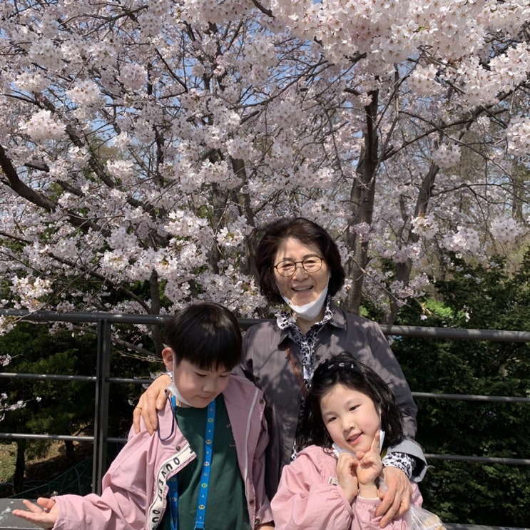  외할머니랑 즐거운 시간 보낸 1박 2일(서울대공원, 벚꽃놀이, 밤일마을 맛집 온누리장작구이)