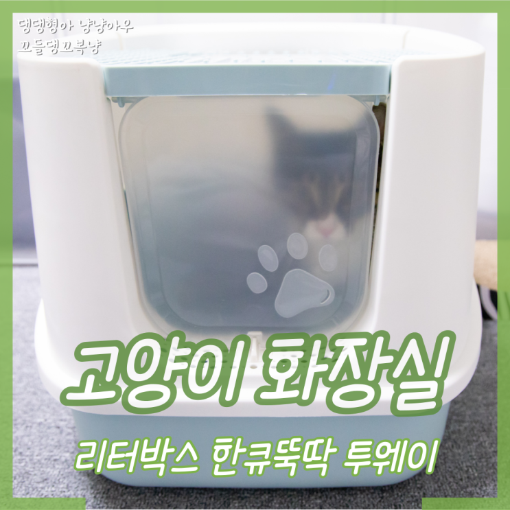  리터박스 고양이 화장실 펫토리아 한큐뚝딱 투웨이 빅사이즈