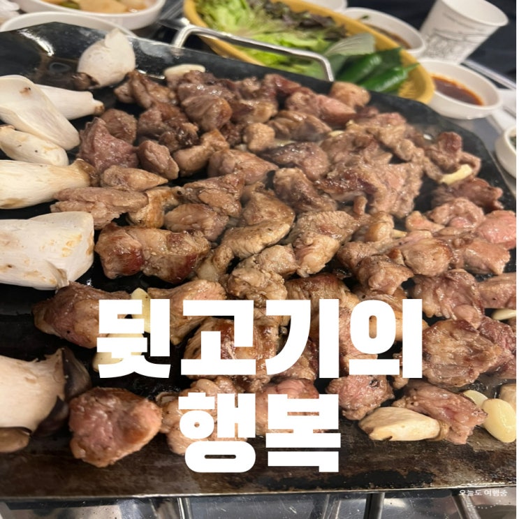  울산 고기 맛집 평화김해 뒷고기! 사장님 이러면 안 돼지~