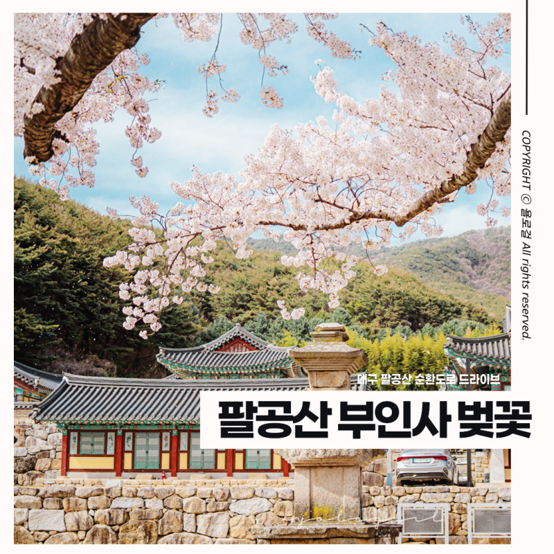 대구 팔공산 벚꽃 순환도로 드라이브 w.부인사 : 네이버 블로그