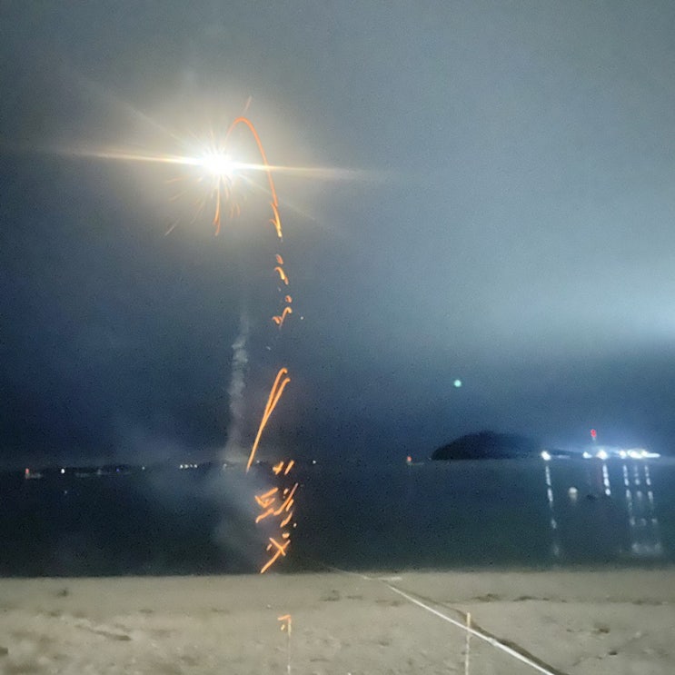  무계획 노답 진도 여행 코스 (쏠비치, 운림산방, 진도개테마파크,경찰수련원 등등)