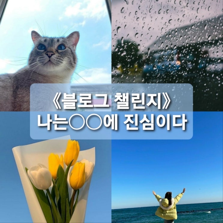  《블로그챌린지》나는ㅇㅇ에 진심이다(feat.자반고등어님)