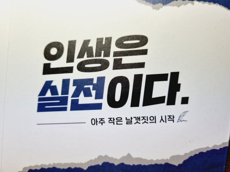  인생은 실전이다 / 현실적인 질문에 대한 힘과 지혜