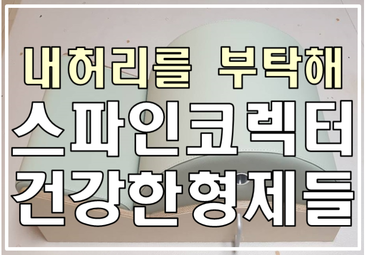  스파인코렉터 <건강한형제들>