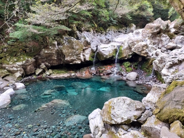  [제주도 가볼만한 곳/서귀포] 2박3일ㆍ서귀포칼호텔 산책길ㆍ돈내코ㆍ원앙폭포 (3)