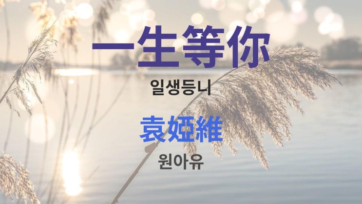  一生等你 일생등니 - 袁婭維