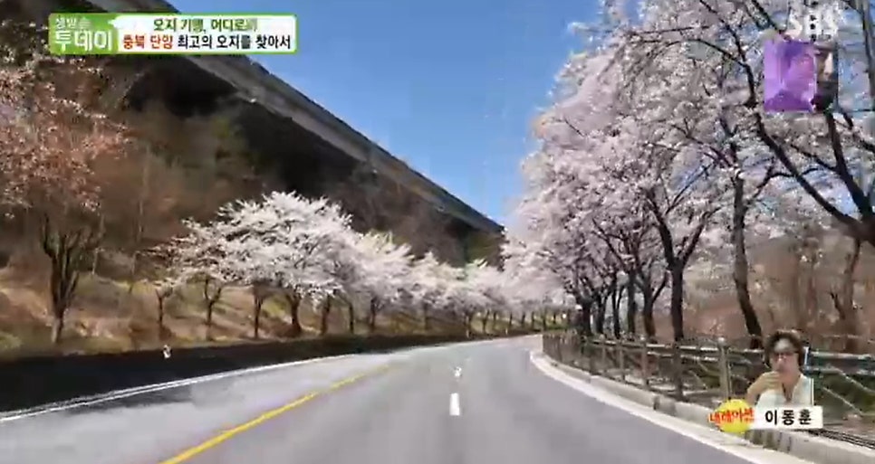 아우실골 사진 4