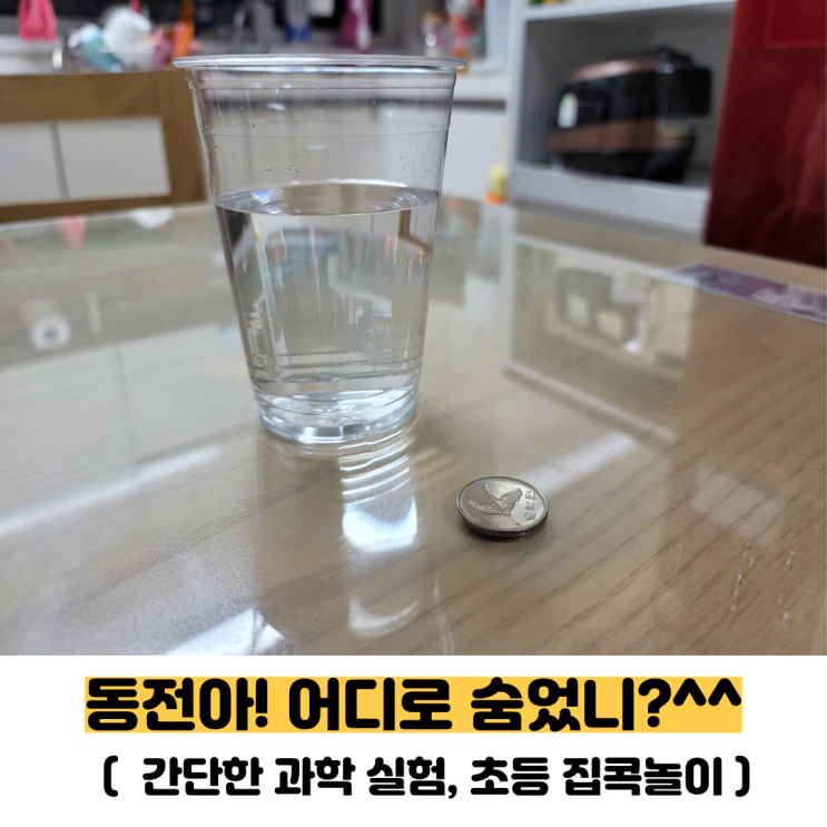  동전이 사라졌다? 어디로 간거지(간단한 과학실험,빛의굴절)