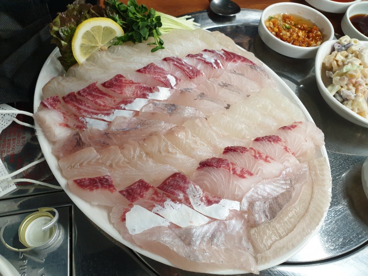  [평촌역 맛집] 속초 오징어 어시장 회는 두툼 미역국은 세상 시원 소주가 술술 들어 가는 곳 메가스터디 교육 배당금 들어 온날