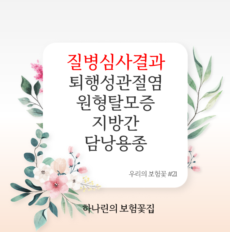  하나린의 보험꽃# 21 질병심사결과 퇴행성관절염 원형탈모증 지방간 담낭용종 종합건강보험 실손의료비 50대 암보험 승인 피부부담보 할증 고지의무 질병코드 KOICD 참고 보험설계사