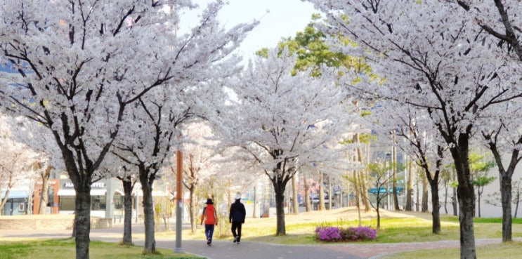  [감사 일기 7일] 매우 사소하지만 '운이 좋았다'거나 '기분 좋을 만한 것'에 감사하기
