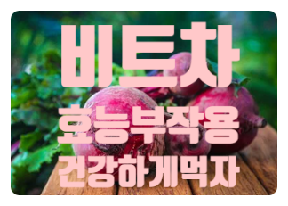  고지혈증 예방 비트차 효능 부작용 먹는방법