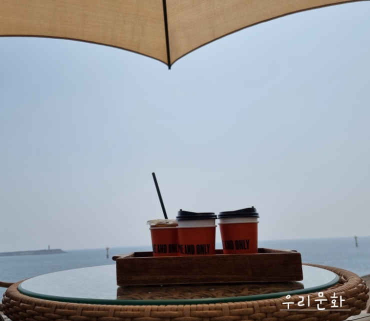 산방산뷰&안덕 앞 바다뷰& 올레길 코스까지 3박자 뷰맛집제주 원앤온리 카페 산방산뷰&안덕 앞 바다뷰& 올레길 코스까지 3박자 뷰맛집제주 원앤온리 카페