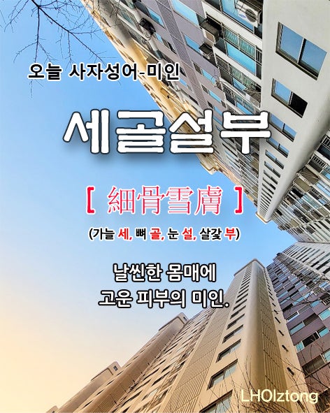  [836] 오늘 사자성어 세골설부(細骨雪膚)의 뜻은?