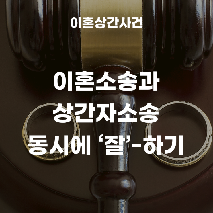  이혼소송과 상간자소송을 동시에 진행한다면?(재산분할, 양육비, 친권자및양육자)