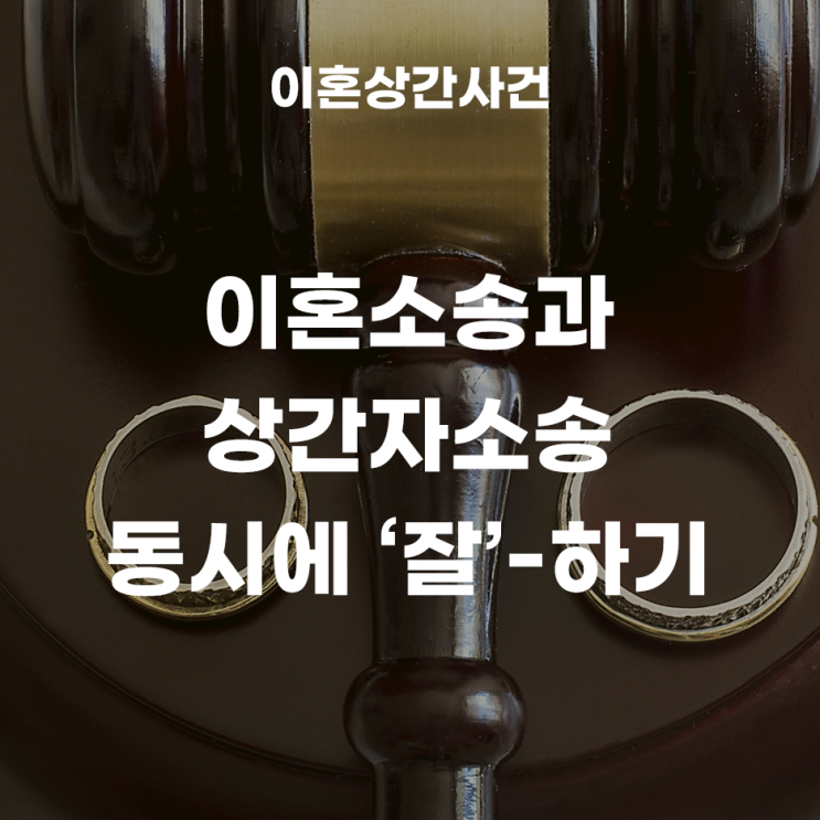 이혼소송과 상간자소송을 동시에 진행한다면?(재산분할, 양육비, 친권자및양육자)