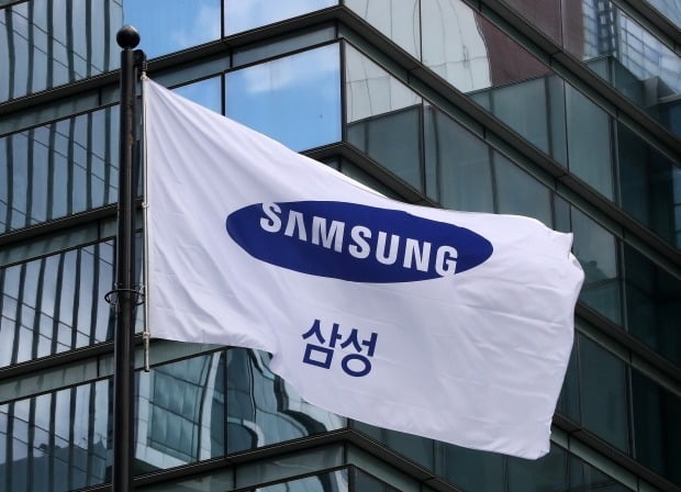 9조원 넘게 사들였는데…개미 '짝사랑' 또 외면한 삼성전자 9조원 넘게 사들였는데…개미 '짝사랑' 또 외면한 삼성전자
