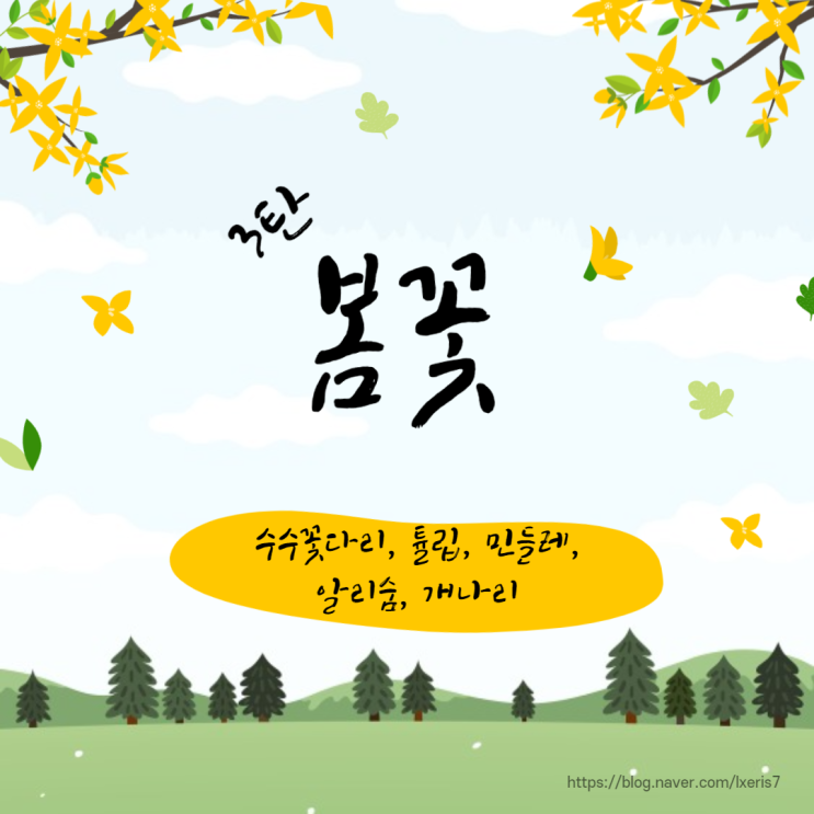 봄꽃3탄 (수수꽃다리, 튤립,민들레,알리숨,개나리)