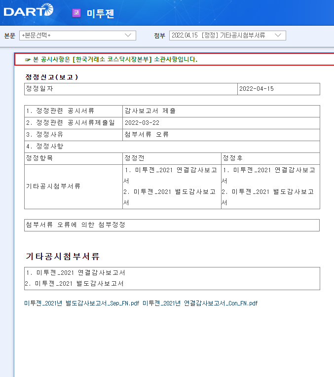 미투젠 / 감사보고서제출